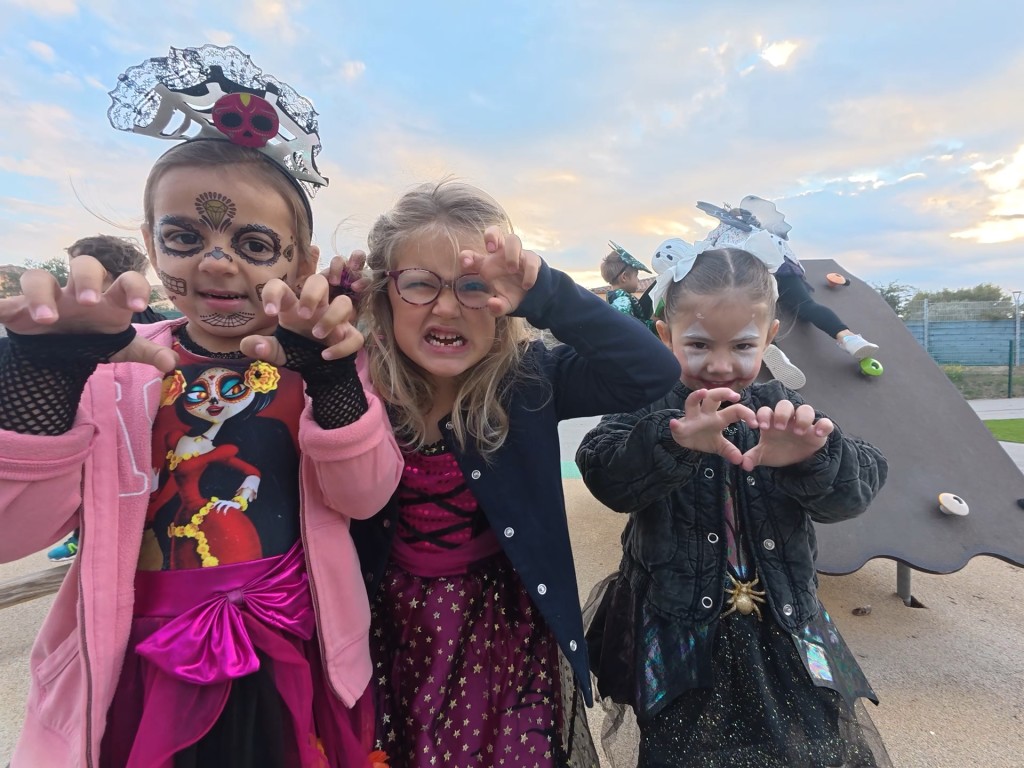 dji_export_20251017_photo_0066